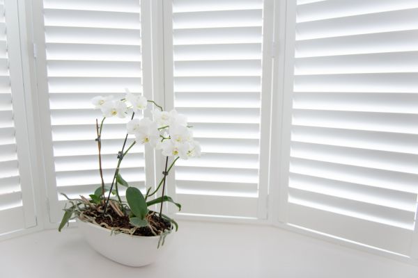 Shutters Installation Service